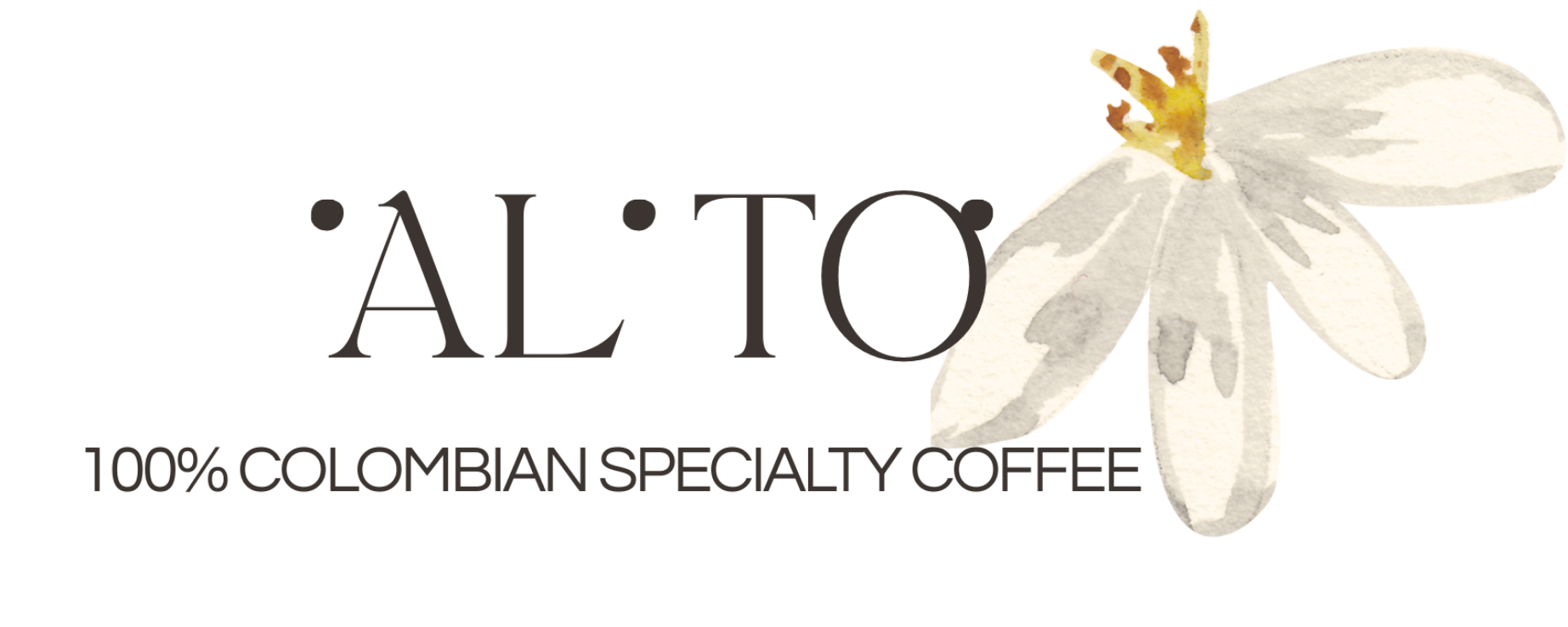 AL'TO Café